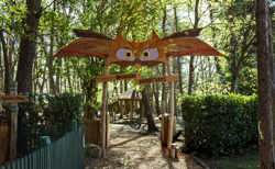 Woodland Adventures