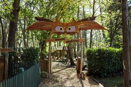 Woodland Adventures