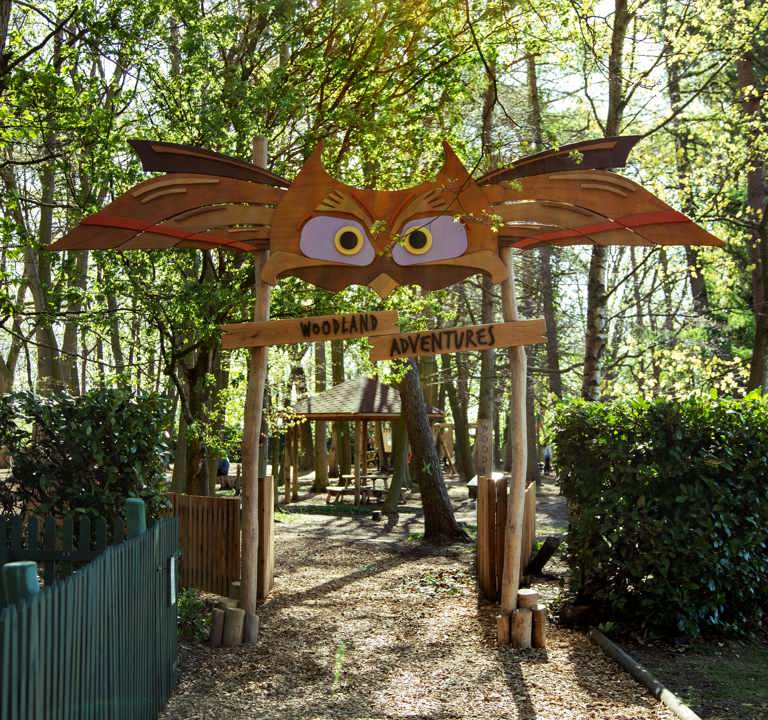 Woodland Adventures