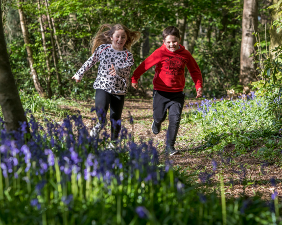 Kids Woods