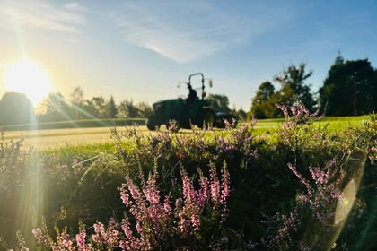 Derby Heather
