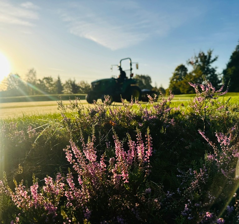 Derby Heather