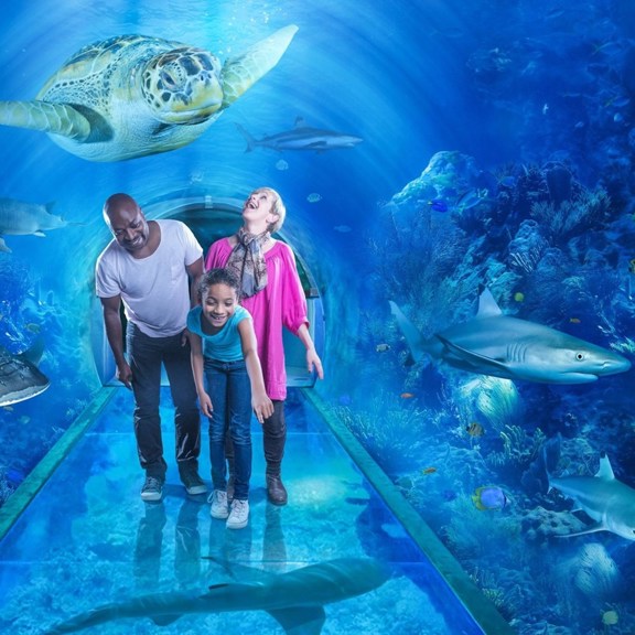 Sealif